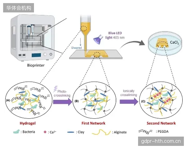 未来，判罚系统可能利用球员的3D模型和生物力学数据，对好球带、越位线等规则进行个性化动态校准，以适应不同球员的身体特征